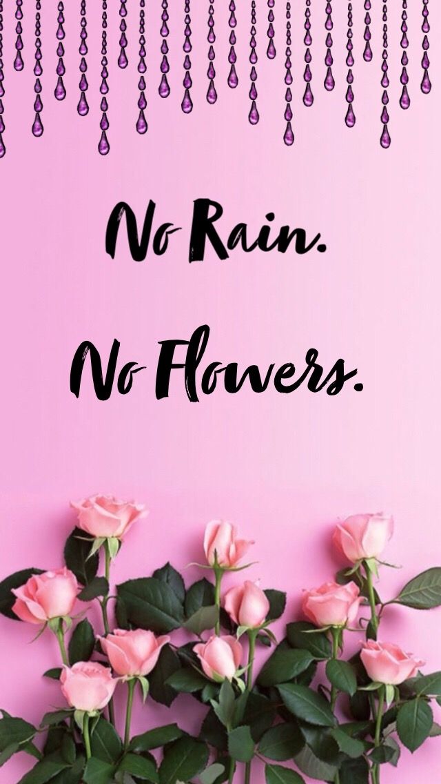 #wallpaper #background #quote #flowers #roses #pink - Thank You Beautiful Friend - HD Wallpaper 