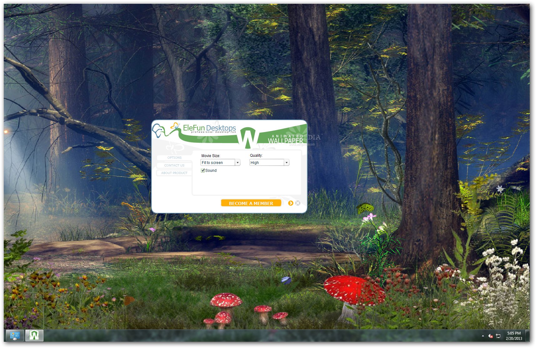 Enchanted Forest - HD Wallpaper 