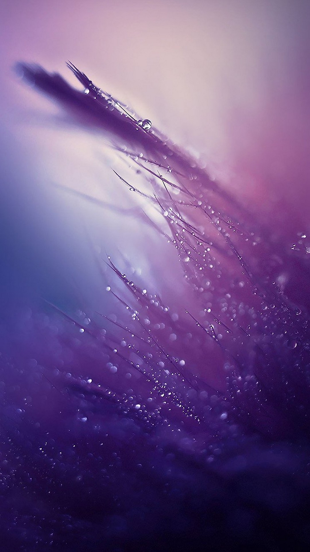 Purple Rain Wallpaper Iphone Resolution - Rain Wallpaper Hd Phone - HD Wallpaper 