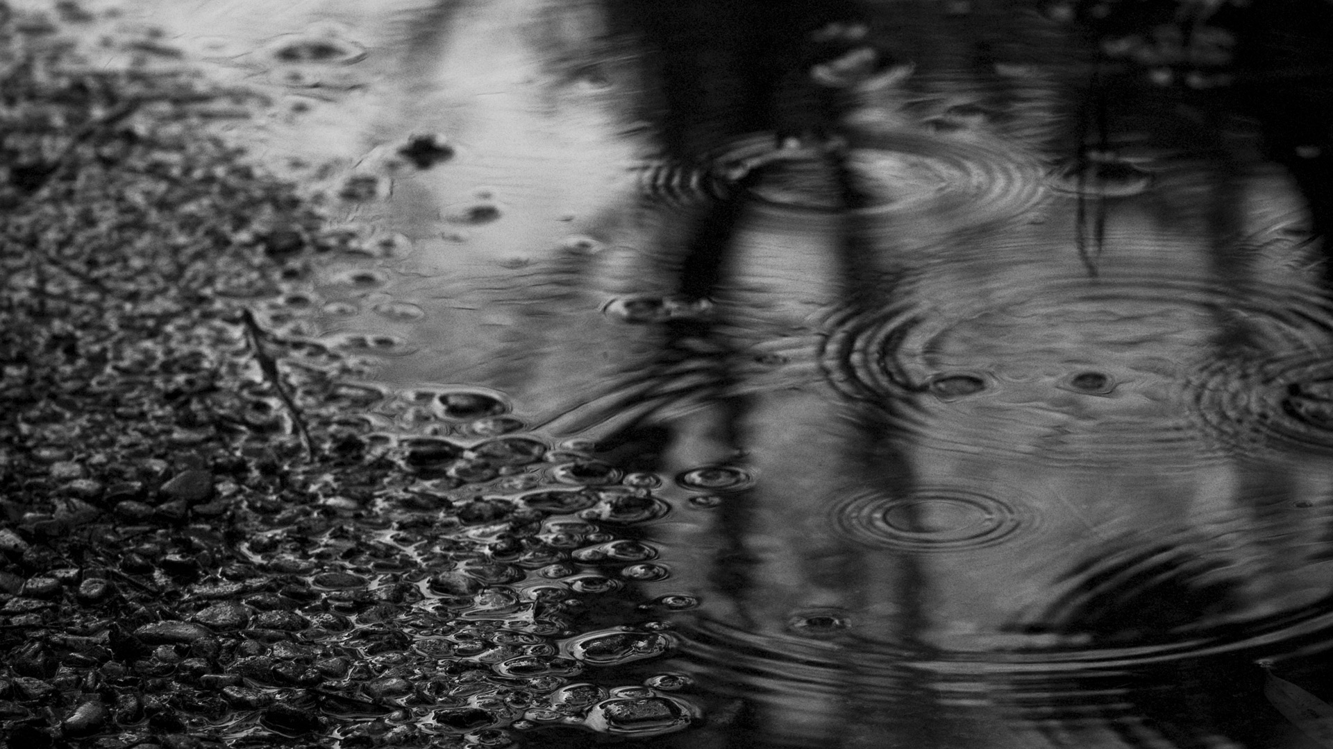 Lluvia Wallpapers - Rain Falling Black And White - HD Wallpaper 