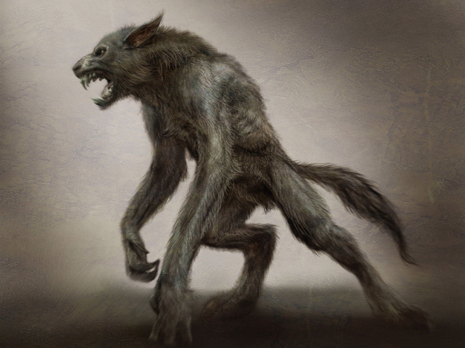 Hombre Lobo - Werewolf On Two Legs - HD Wallpaper 