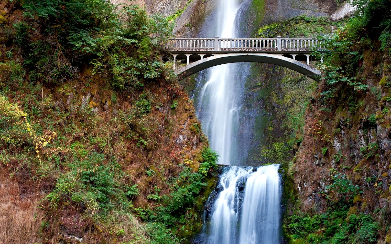 Latest Desktop Wallpapers Hd Free Download Inn Spb Multnomah