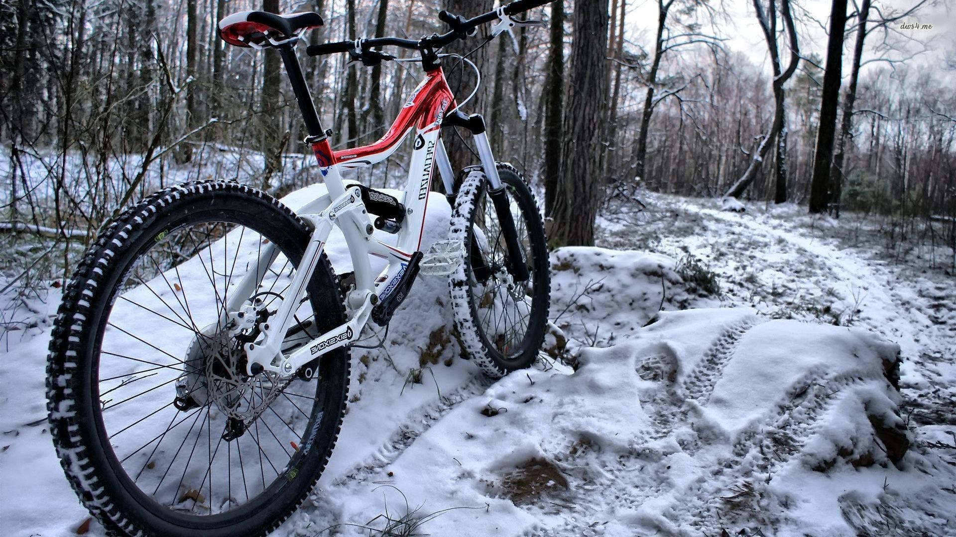 13404 Mountain Bike In The Snowy Forest Sport Wallpaper - Mountain Bike Wallpapers Bicycles - HD Wallpaper 