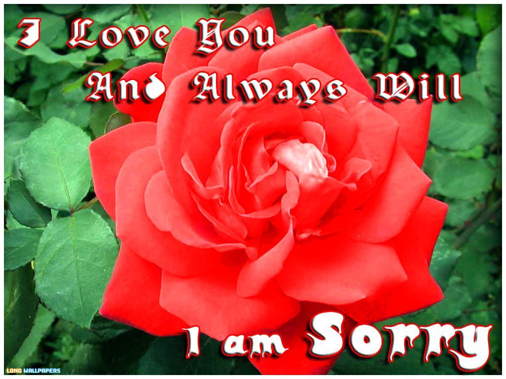 I Am Sorry Wallpapers « All Types Wallpaper - Sorry Janu Ji Pic Download - 1024x768 Wallpaper I Am Sorry Wallpapers « All Types Wallpaper - Sorry Janu Ji Pic Download - 1024x768 Wallpaper