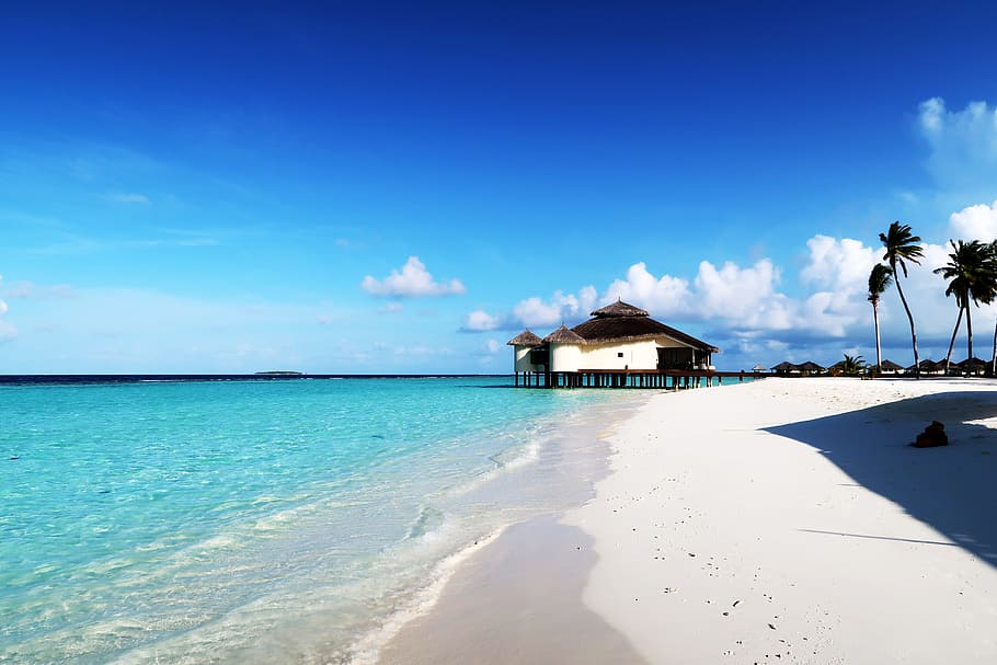Brown Wooden Hut Above Body Of Water, Maldives, Beach, - Edmonton To Maldives All Inclusive - HD Wallpaper 
