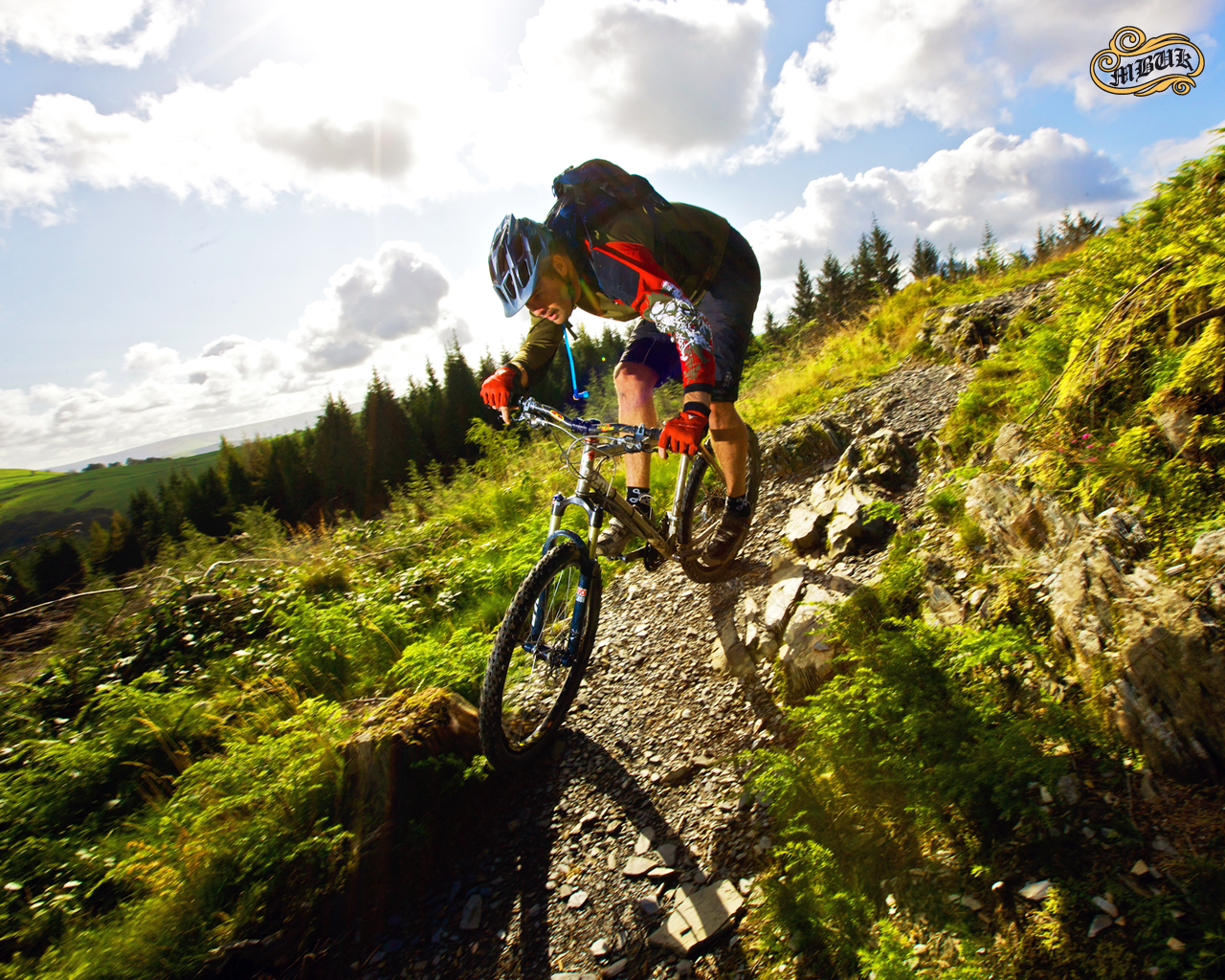 Mountain Bike - HD Wallpaper 