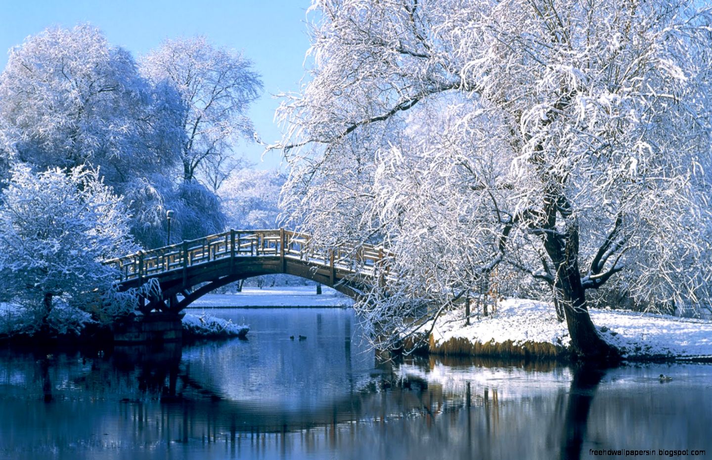 Free Winter Wallpapers Hd Hd Wallpapers Pulse - Winter Scenes - HD Wallpaper 