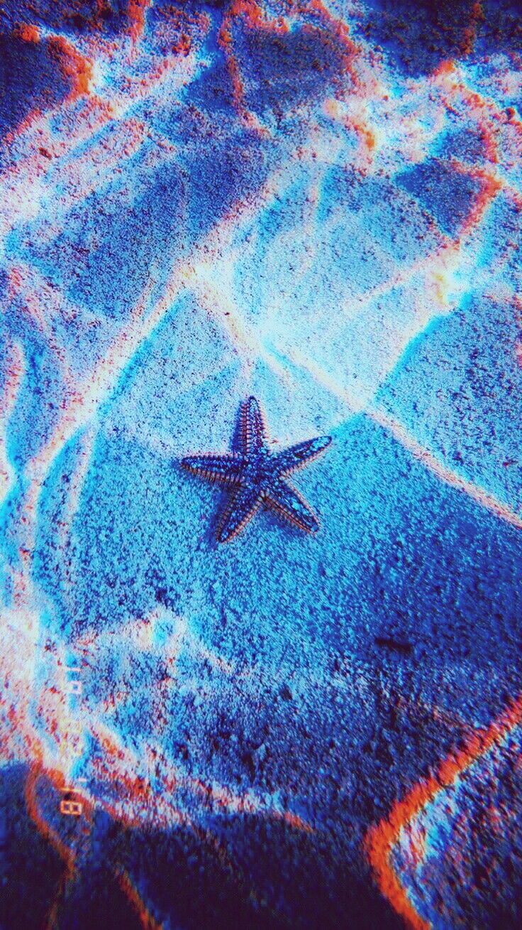 Iphone Wallpaper Summer-165 - HD Wallpaper 