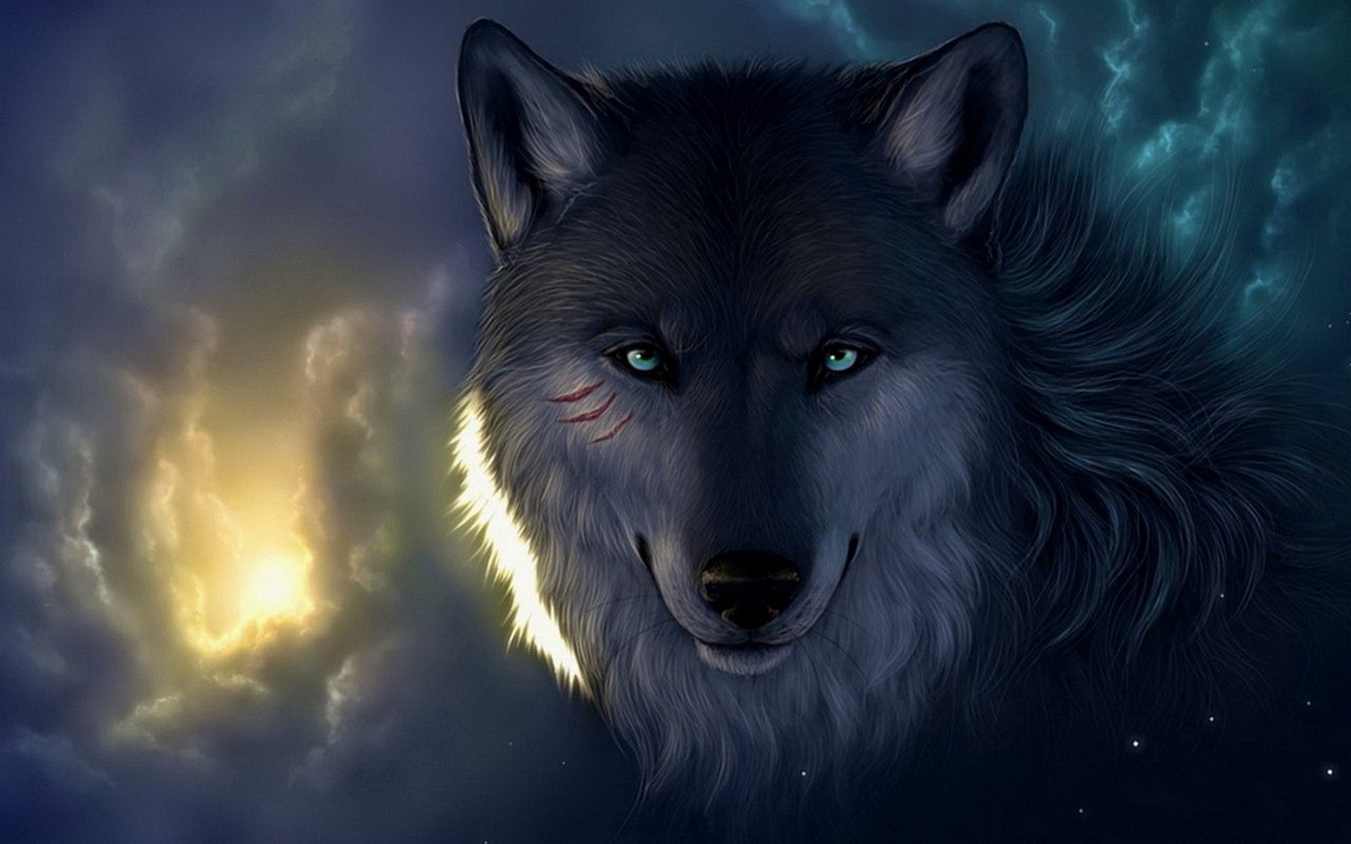 Alpha Wolf Wallpaper Hd - HD Wallpaper 