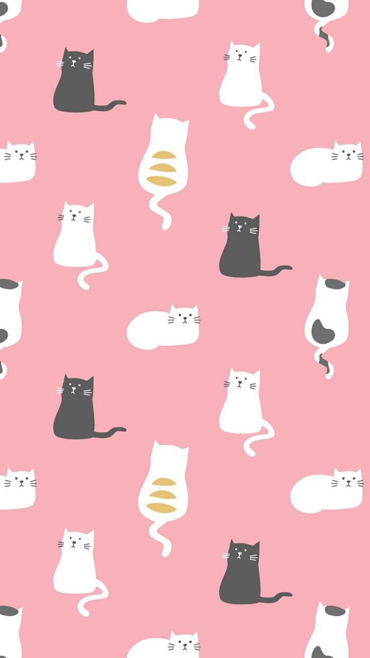 Image - Cute Cartoon Cat Dark Background - HD Wallpaper 