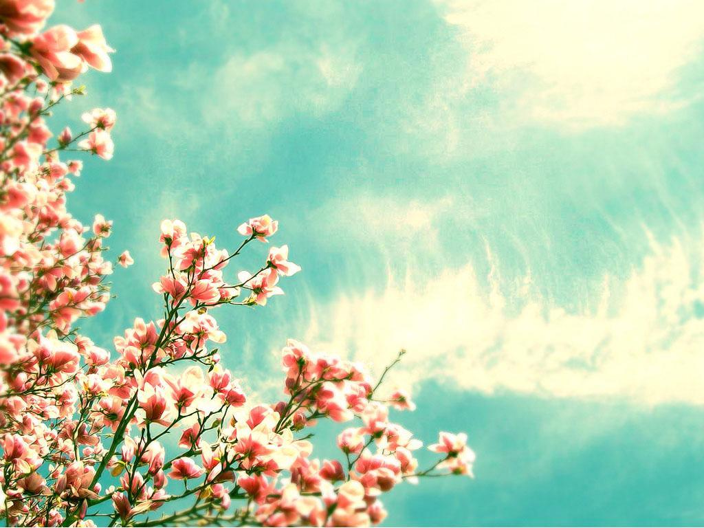 Good Night My Lovely Friends - HD Wallpaper 