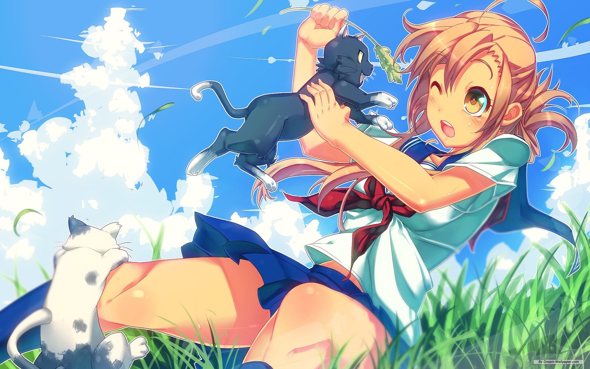 Free Cartoon Wallpaper - Hd Wallpaper Anime Girl With Cat - HD Wallpaper 