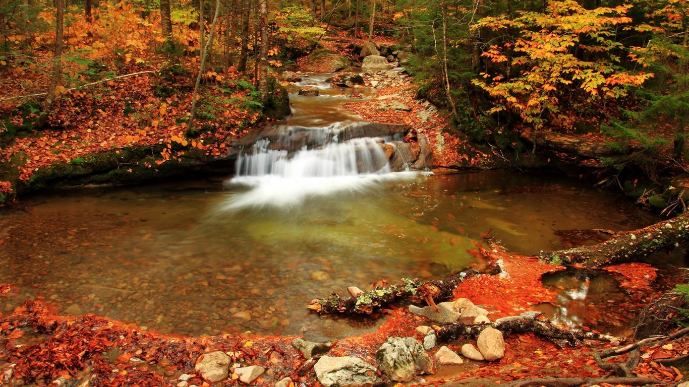 Cachoeira Em Movimento - Fondos De Pantalla Naturaleza Otoño - HD Wallpaper 