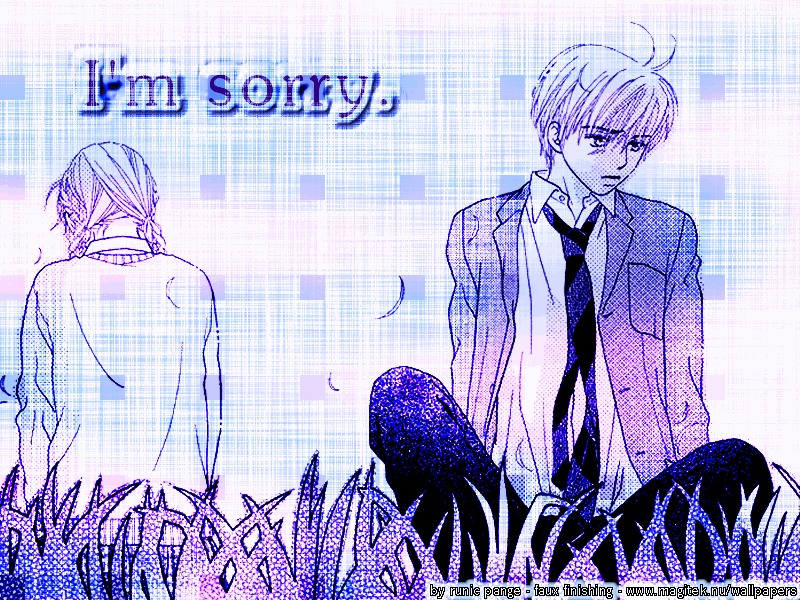 Sorry Wallpaper Best - HD Wallpaper 