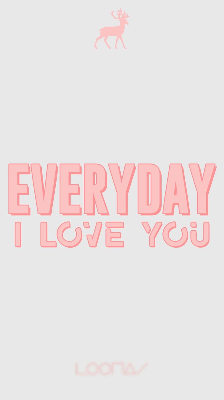 Animal Silhouettes - HD Wallpaper 