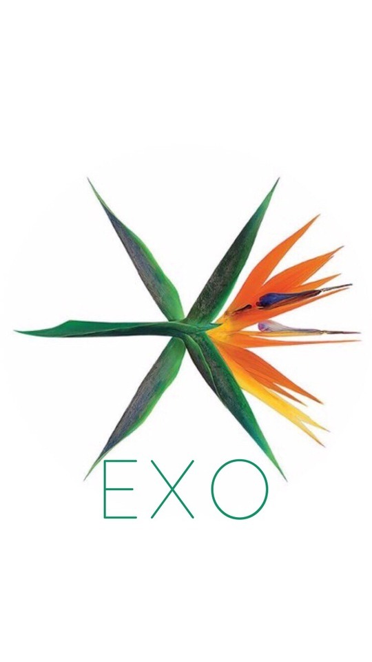 Exo The War The 4th Album Album - HD Wallpaper 