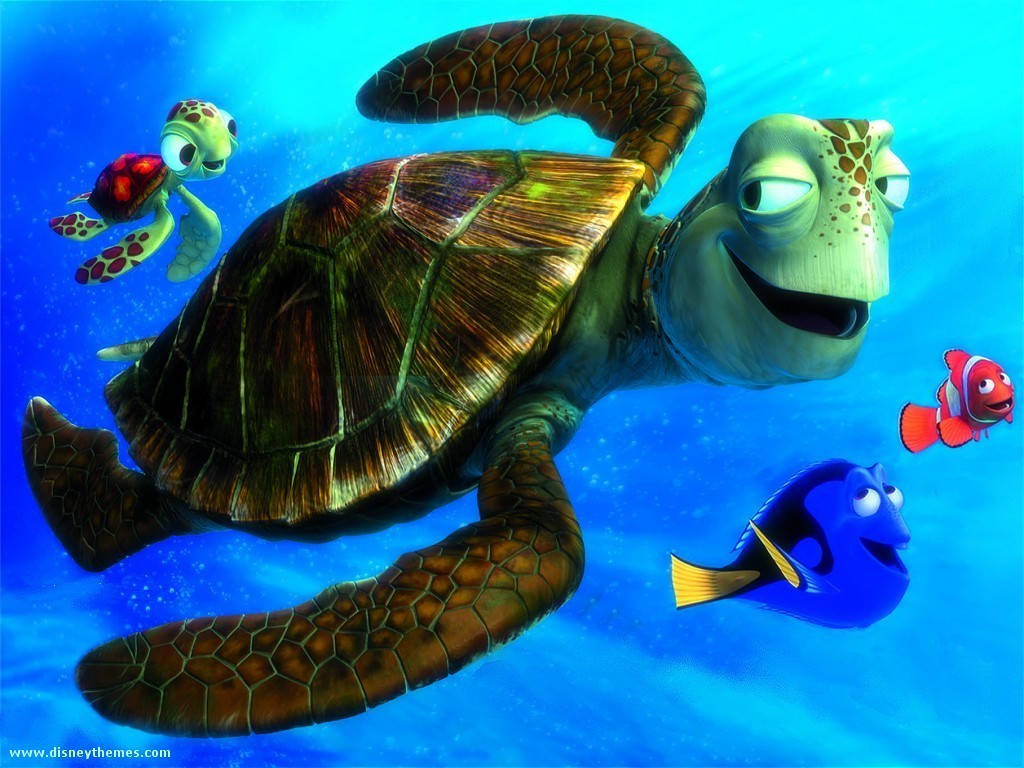 Finding Nemo Wallpaper - Nemo Turtle - HD Wallpaper 
