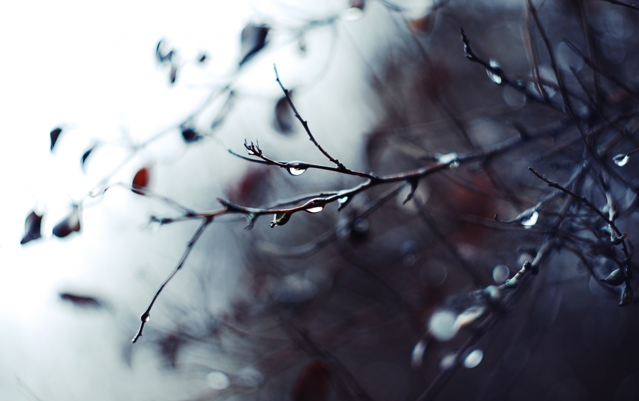 Rain Drops Wallpapers - Winter Rain Facebook Cover - HD Wallpaper 