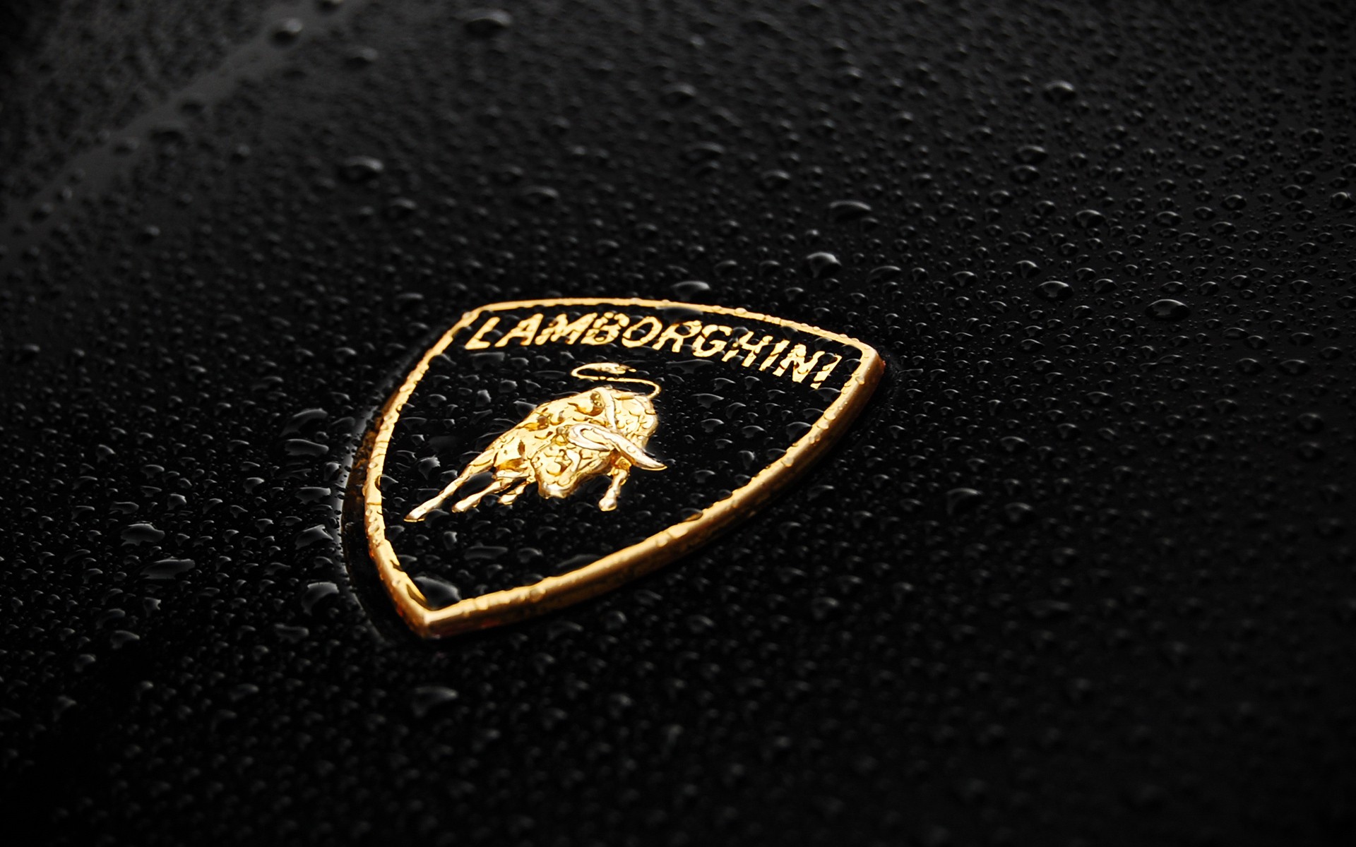 Lamborghini Logo Wallpaper - Lamborghini Logo Wallpaper Hd - HD Wallpaper 