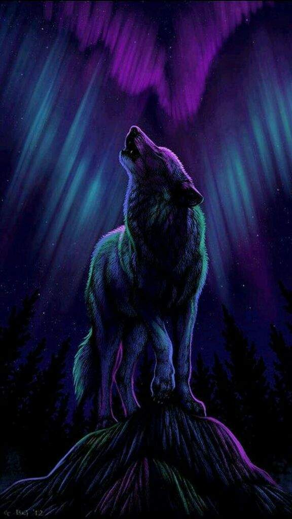 User Uploaded Image - Spirit Animal Wolf Drawing - 576x1024 Wallpaper -  
