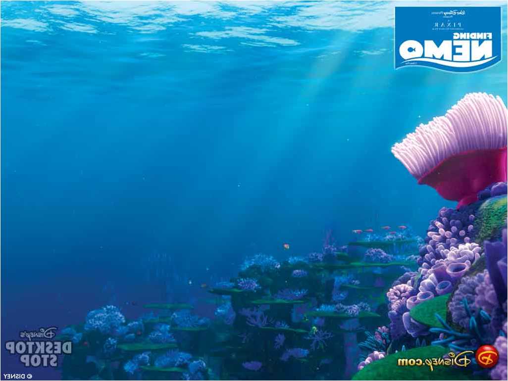 Nemo 62928040 Wallpaper For Free - Disney Buscando A Nemo - HD Wallpaper 