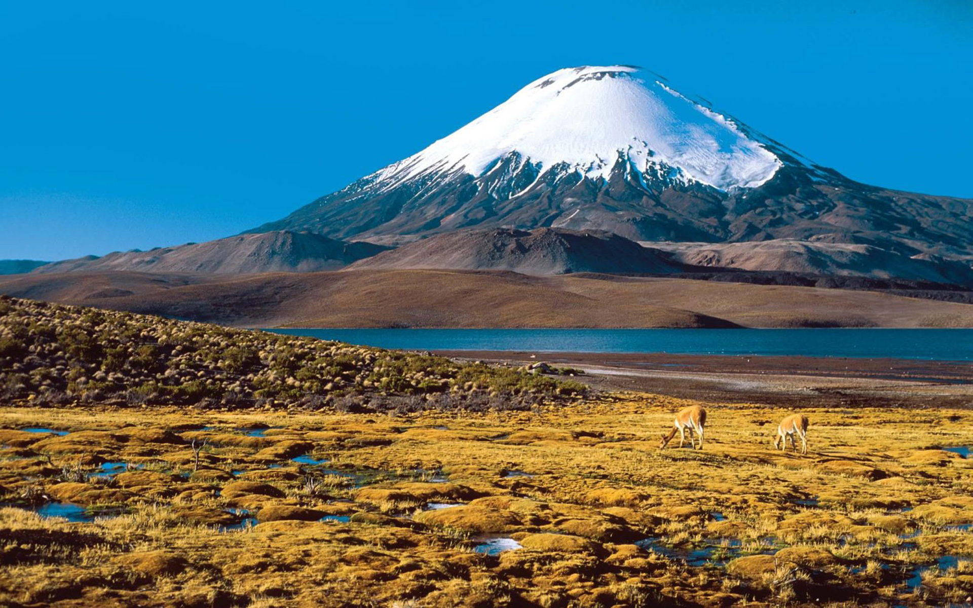 Volcan Ojos Del Salado - HD Wallpaper 