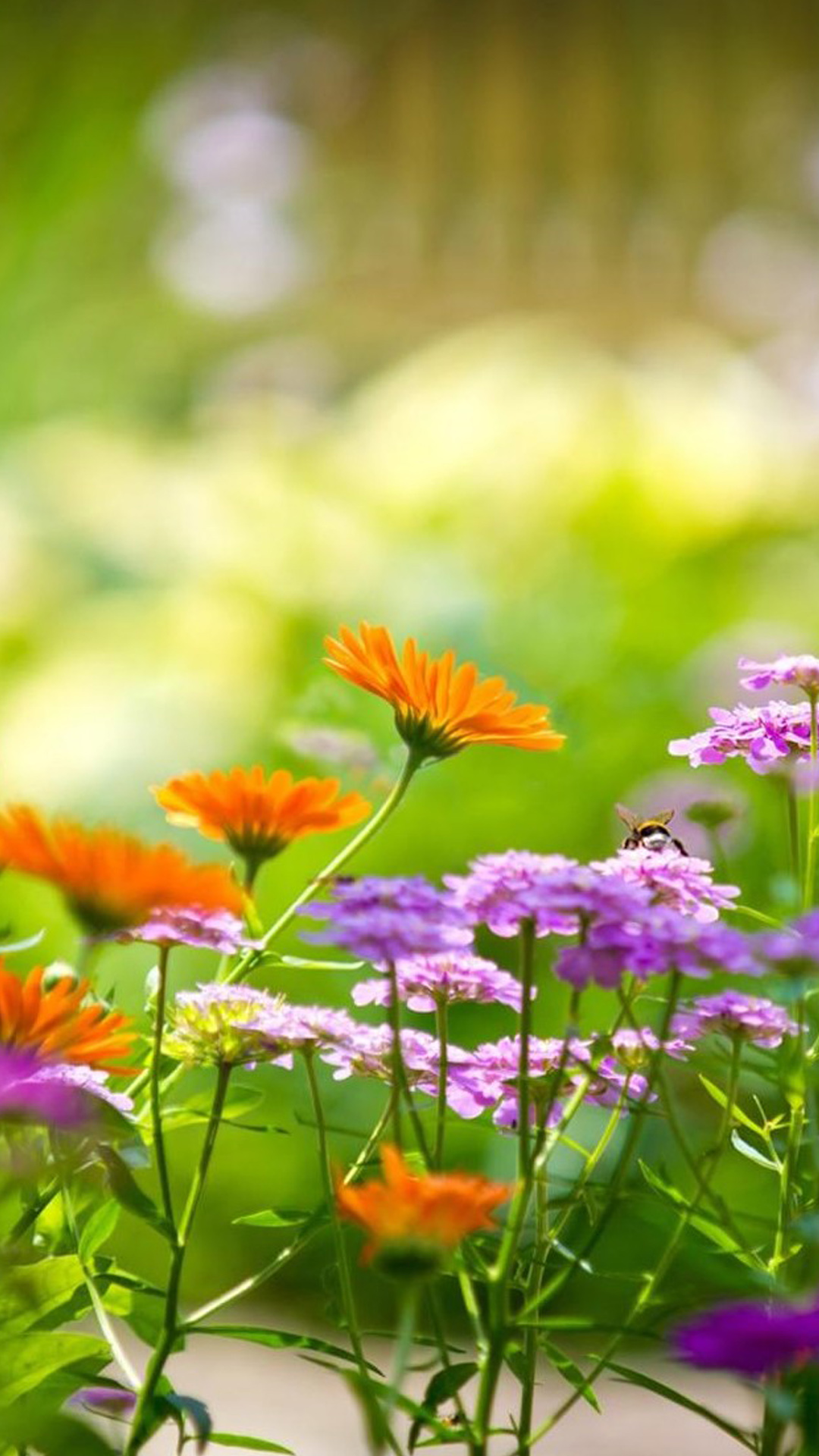 Samsung J5 Wallpaper Flowers - 1080x1920 Wallpaper Samsung J5 Wallpaper Flowers - 1080x1920 Wallpaper