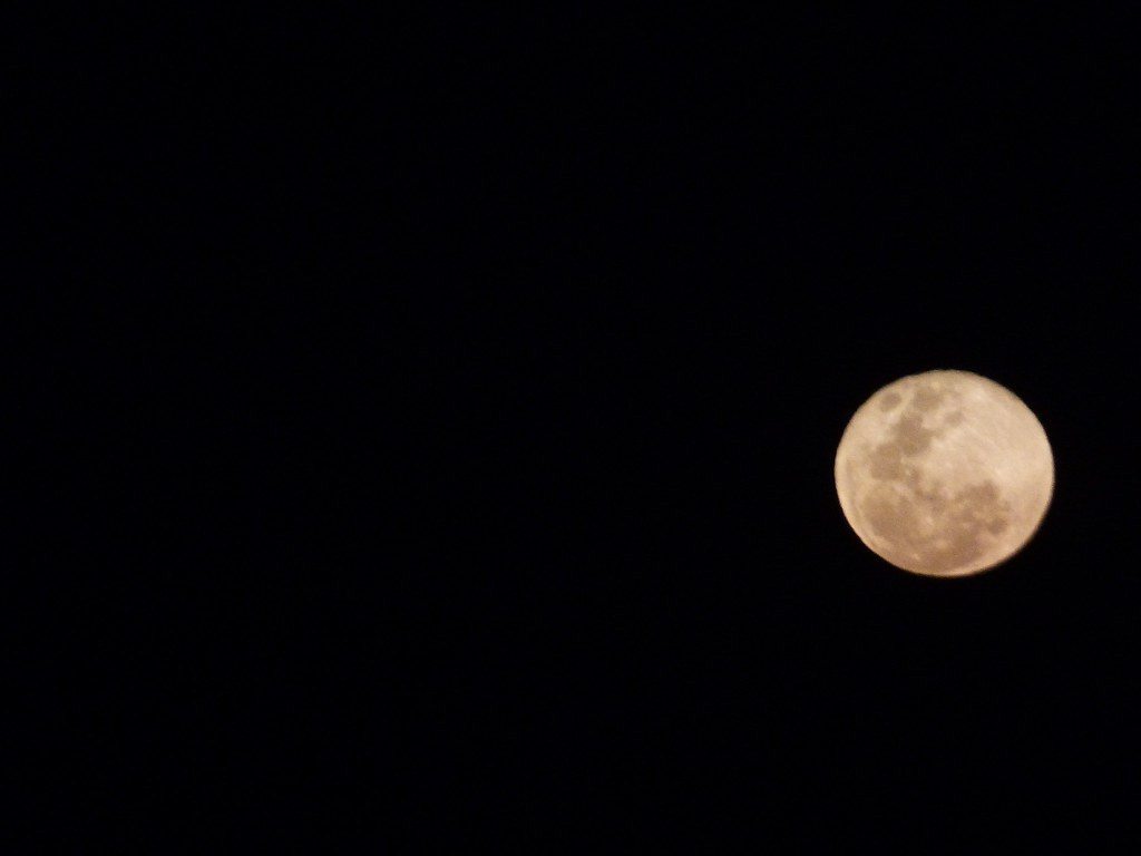 Moon - HD Wallpaper 