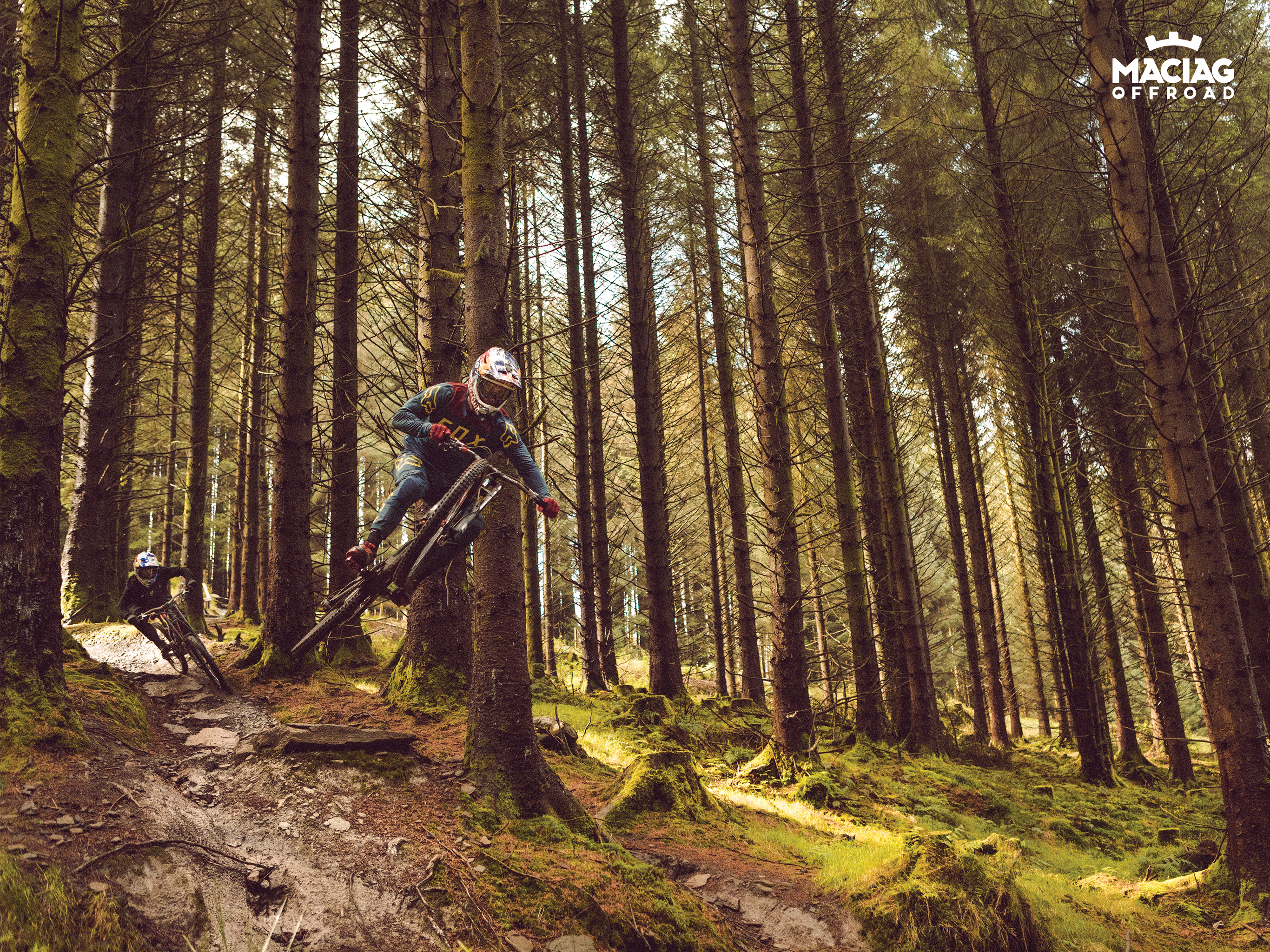 Mtb Forest - HD Wallpaper 