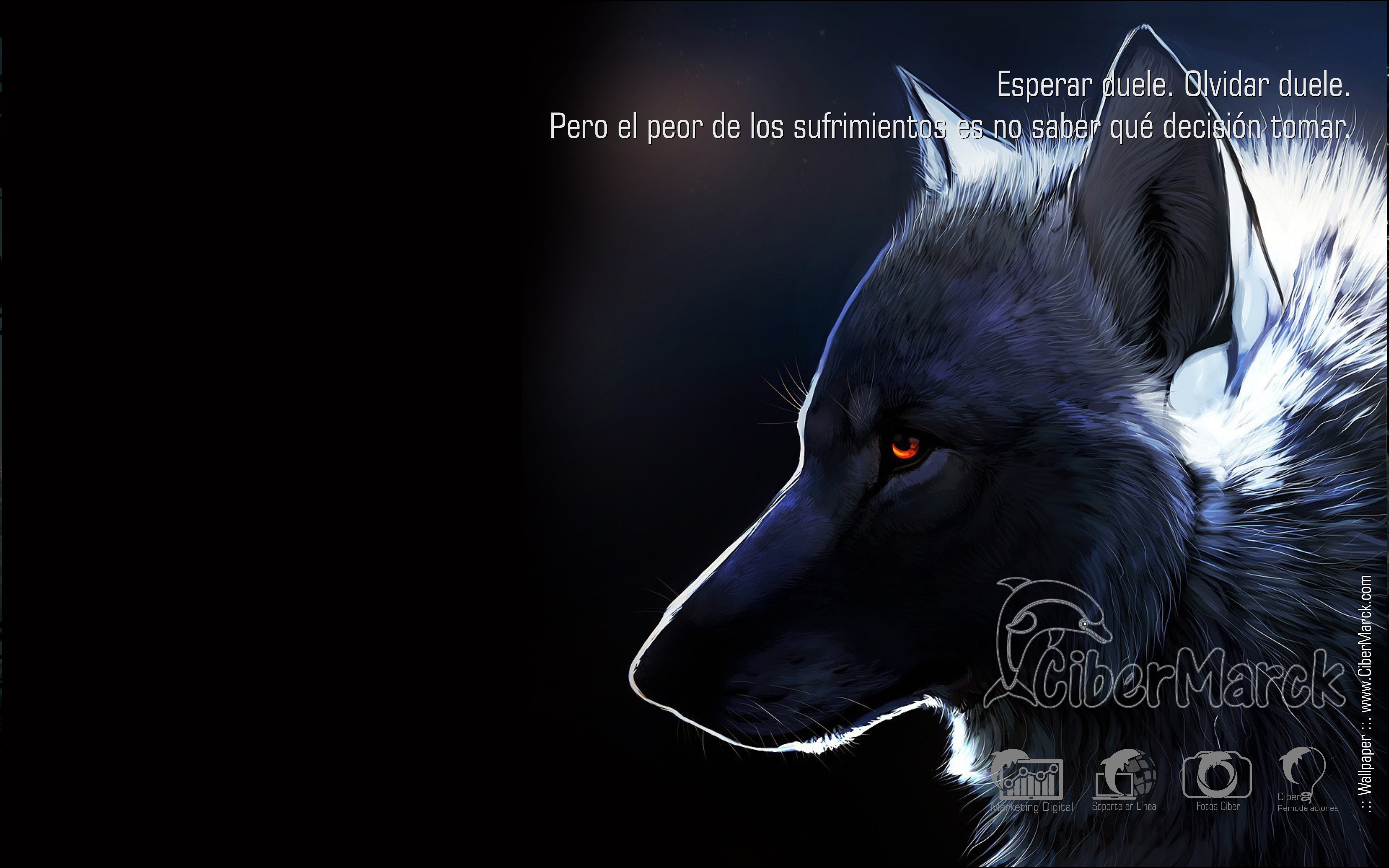Hd Wallpaper Grey Wolf - HD Wallpaper 