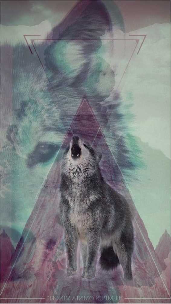 Full Hd Images Collection - Phone Wallpapers Wolf 4k - HD Wallpaper 