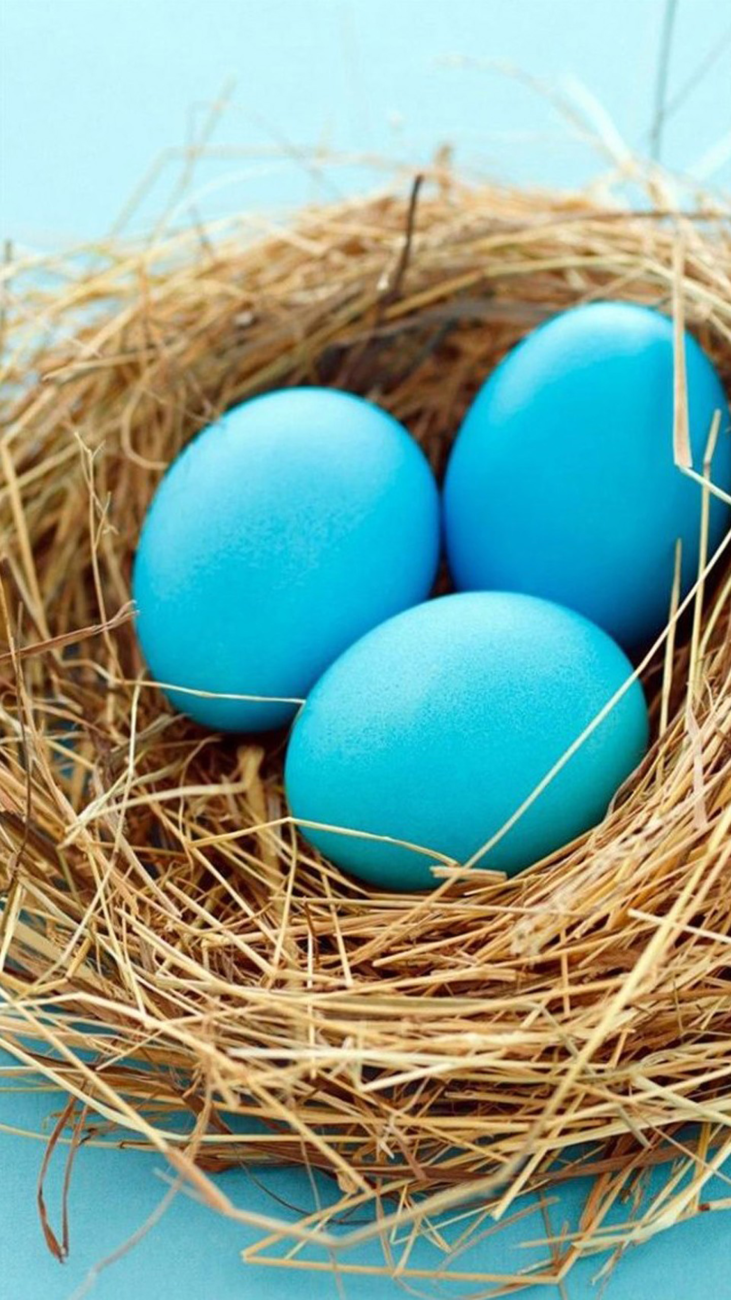 3d Birds Egg Galaxy S7 Wallpapers Galaxy S7 Wallpapers - 1440x2560