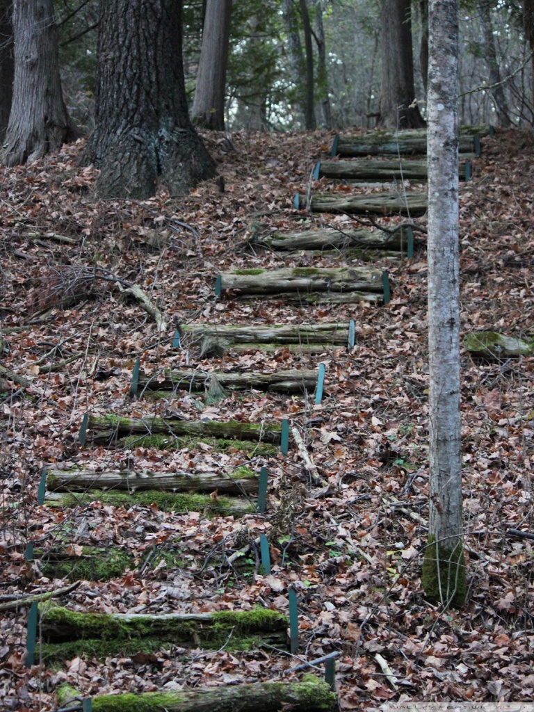 Steps - HD Wallpaper 