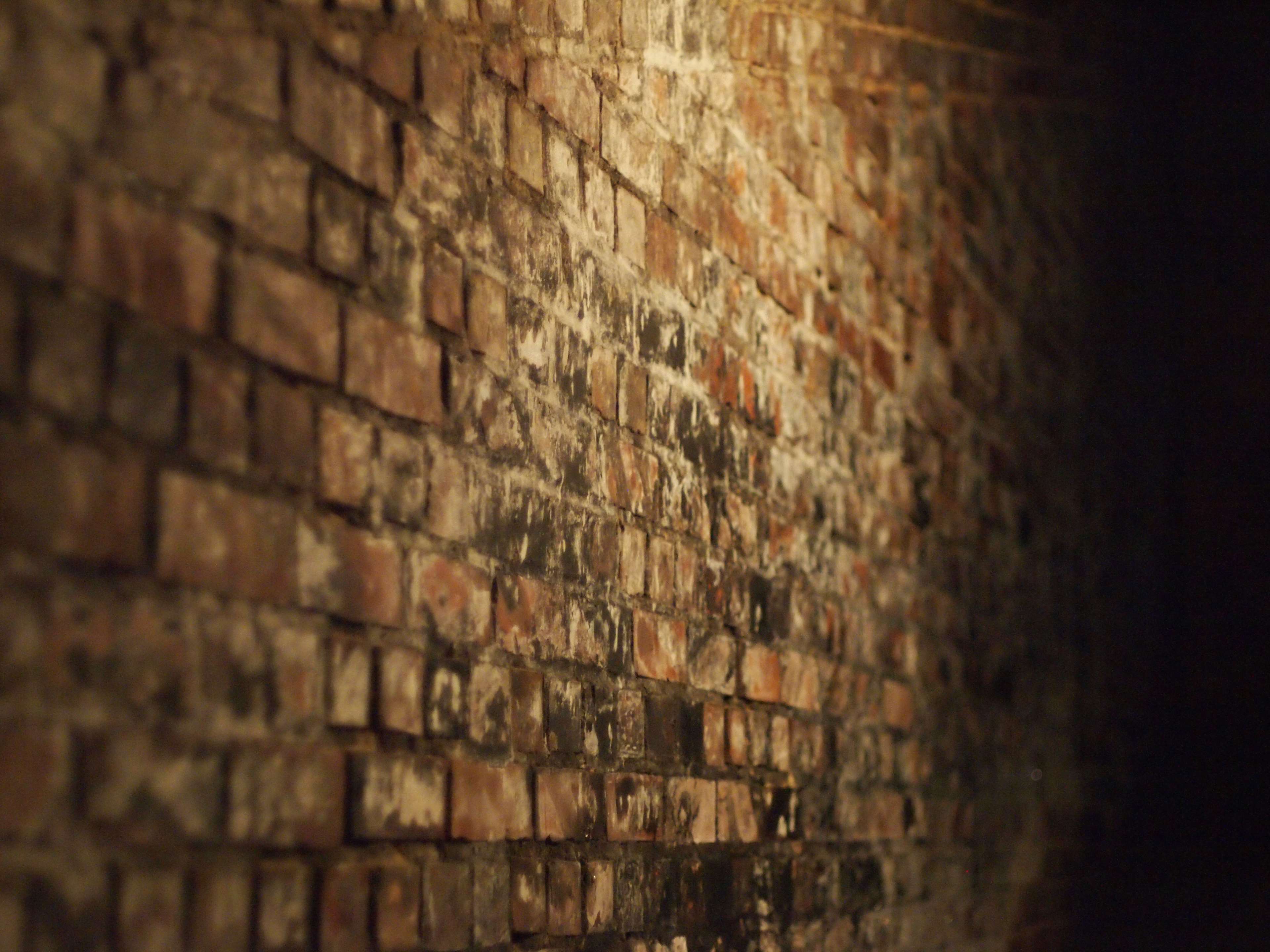 Wall - HD Wallpaper 