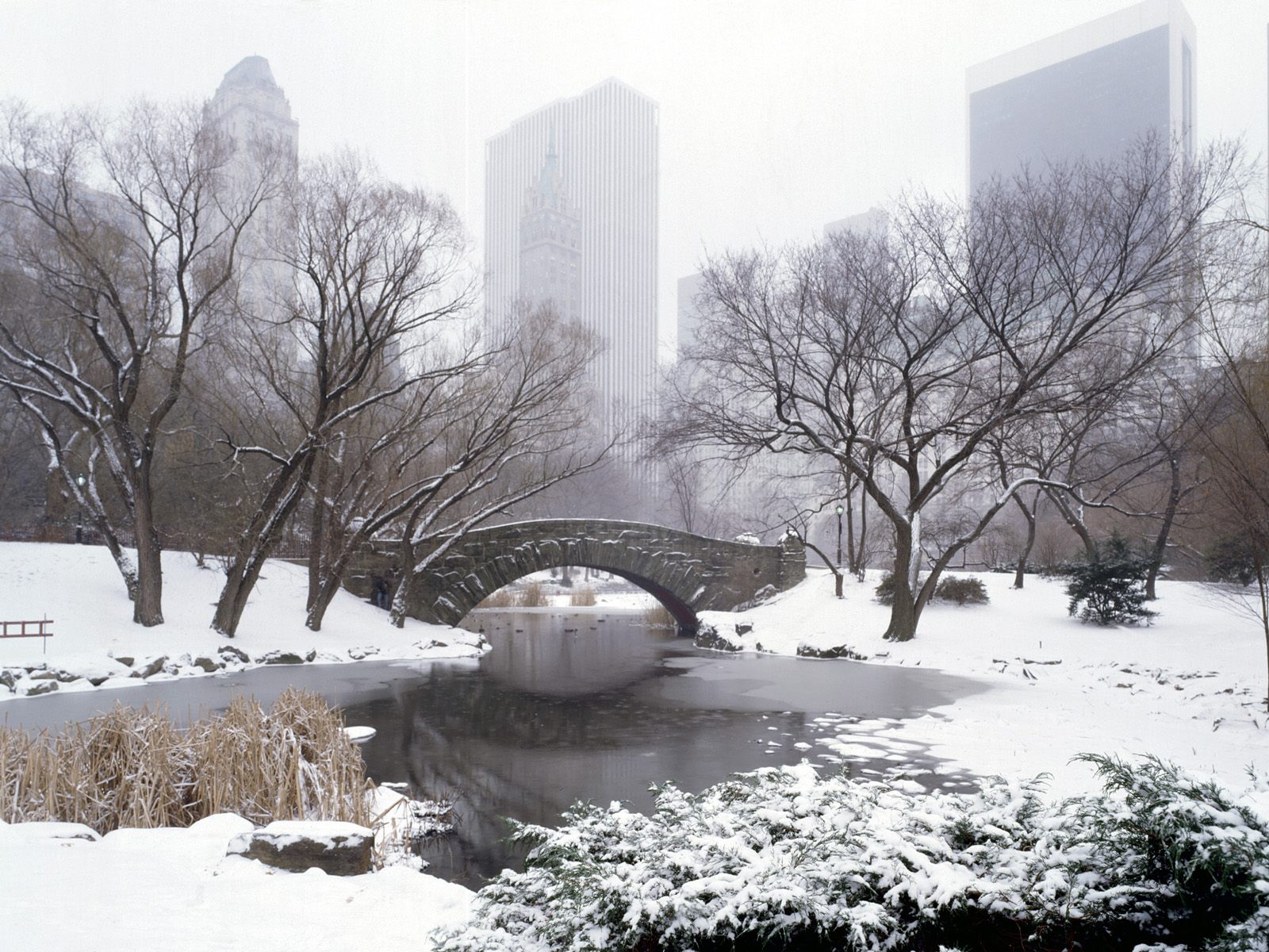 Central Park In Winter Windows 7 Scenery Wallpaper - Snow At Central Park - HD Wallpaper 