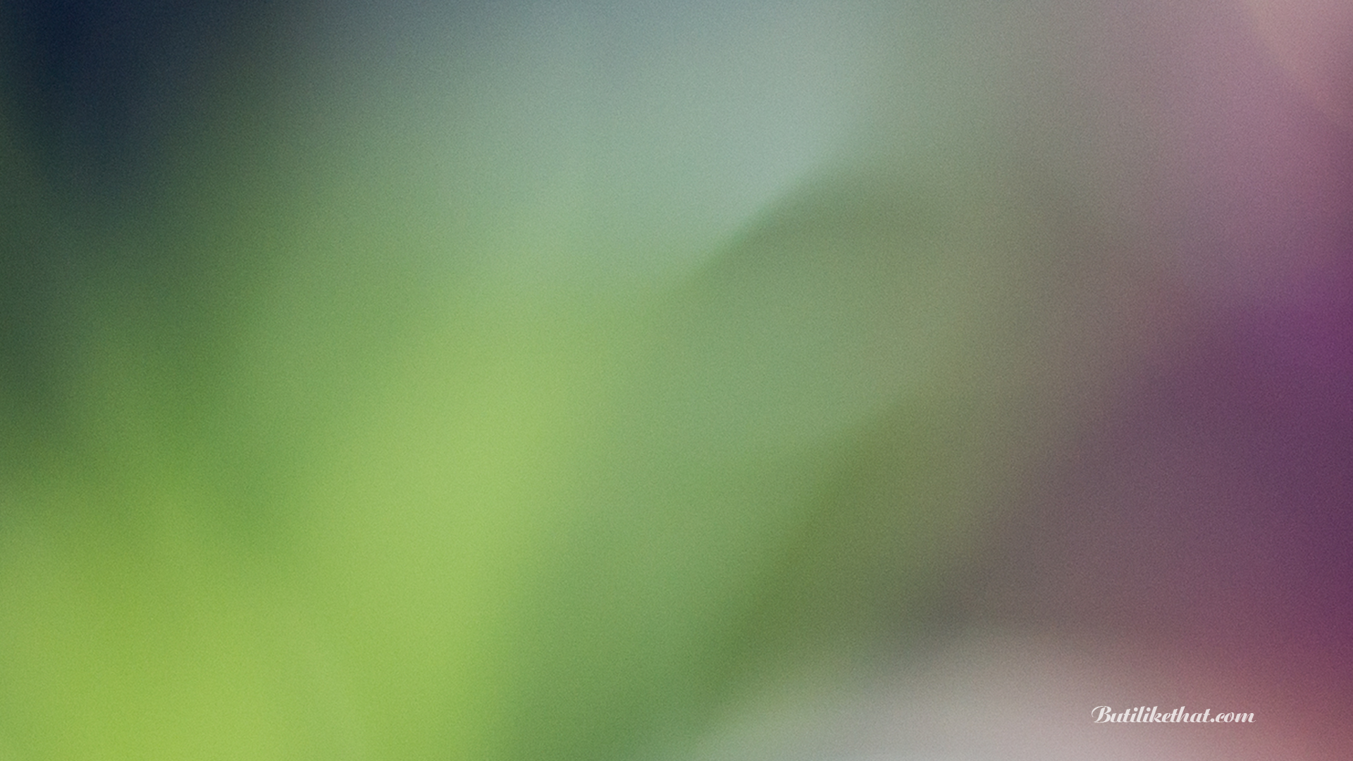 Aurora - HD Wallpaper 