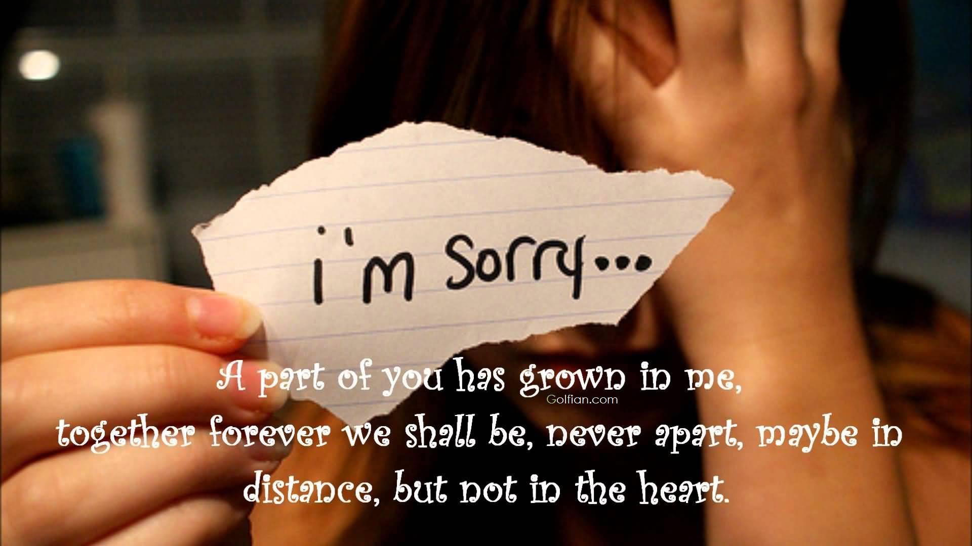 Sorry Quotes To Brother - HD Wallpaper 