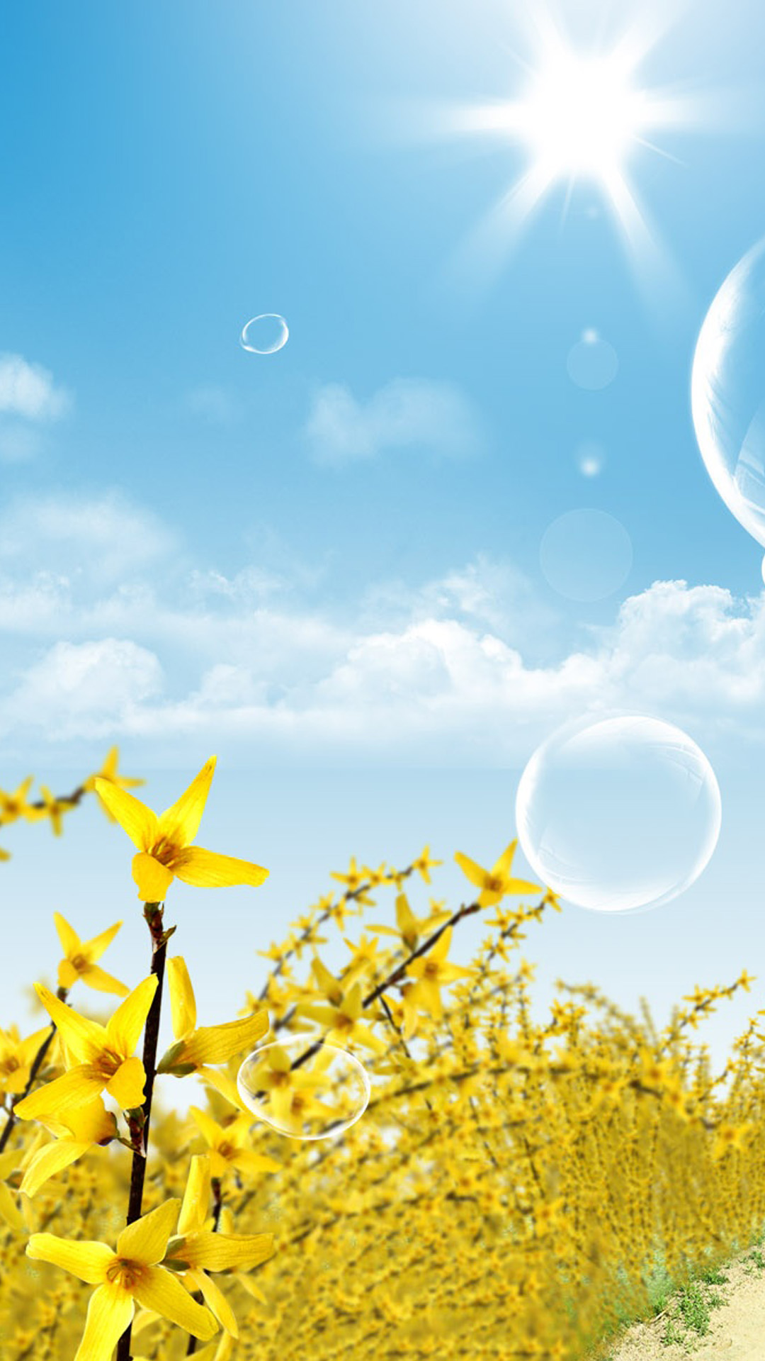 Wallpaper - HD Wallpaper 