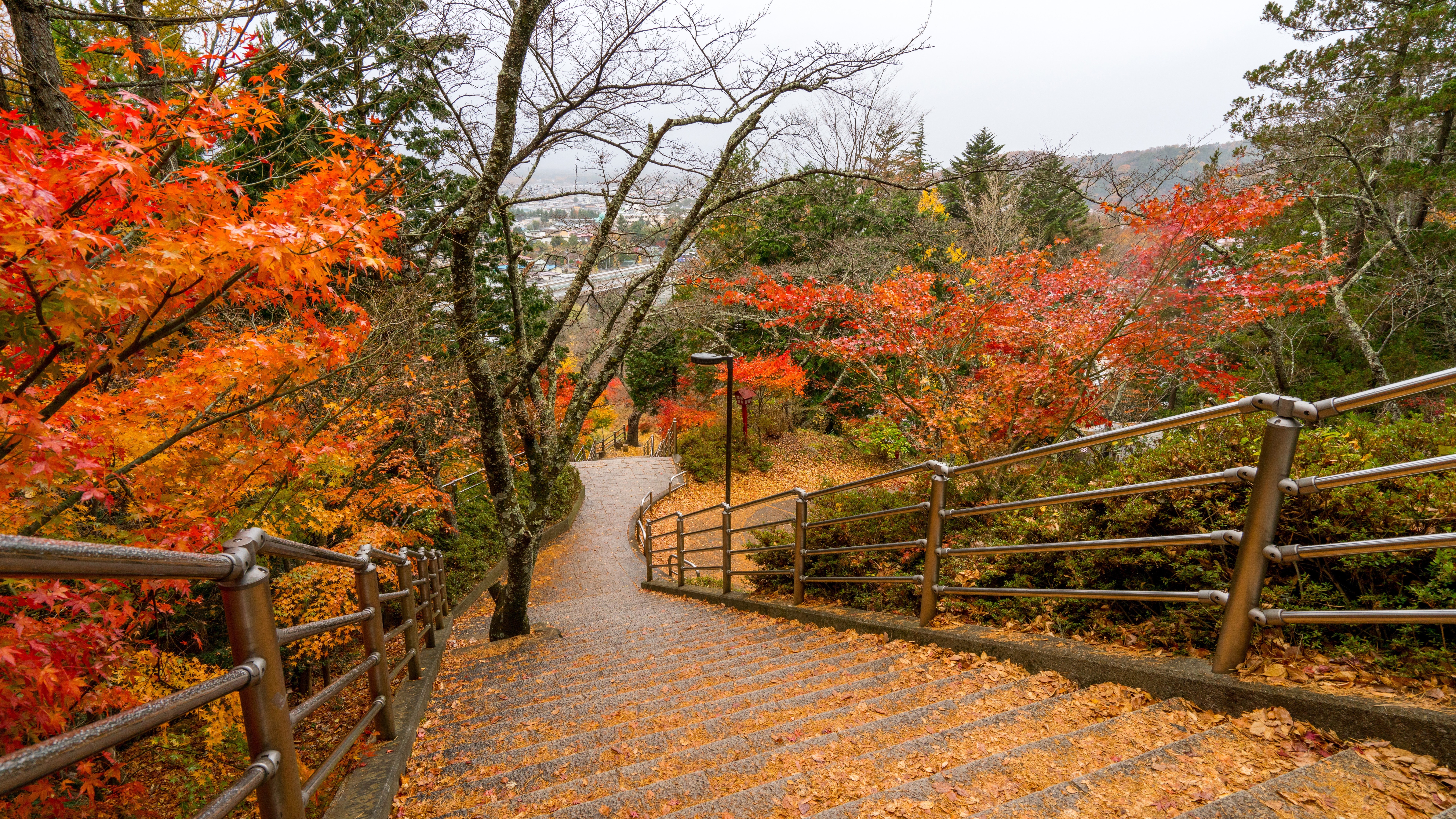 Wallpaper Park, Trees, Steps, High, Autumn - Chureito Pagoda - HD Wallpaper 