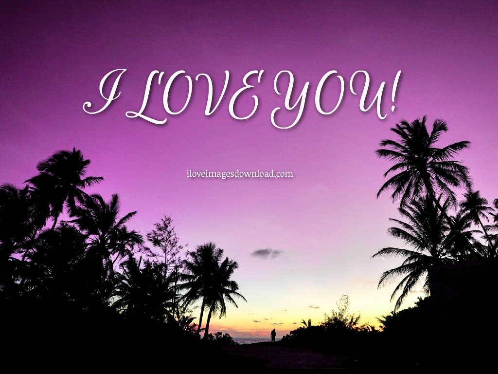 I Love You Hearts Wallpapers - Natural Disaster Nsg Cover Art - HD Wallpaper 