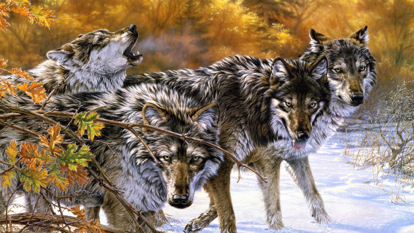 Lobos 3d - - Wolves Lee Kromschroeder - HD Wallpaper 