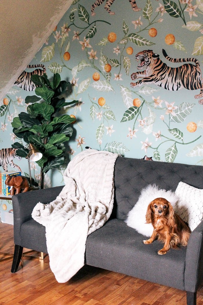 How To Install Removable Wallpaper - Studio Couch - HD Wallpaper 