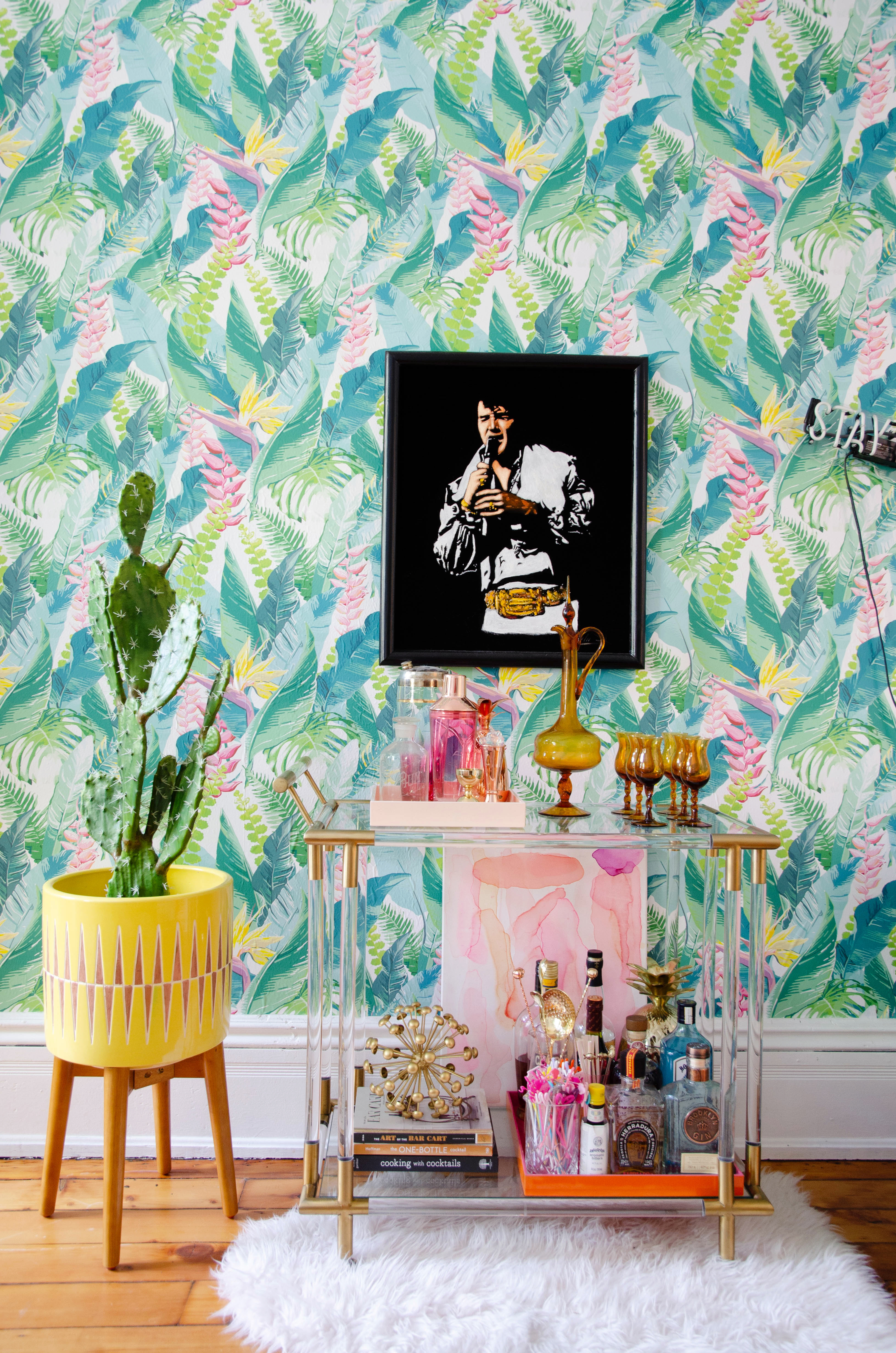 Apartment Therapy House Plants - HD Wallpaper 