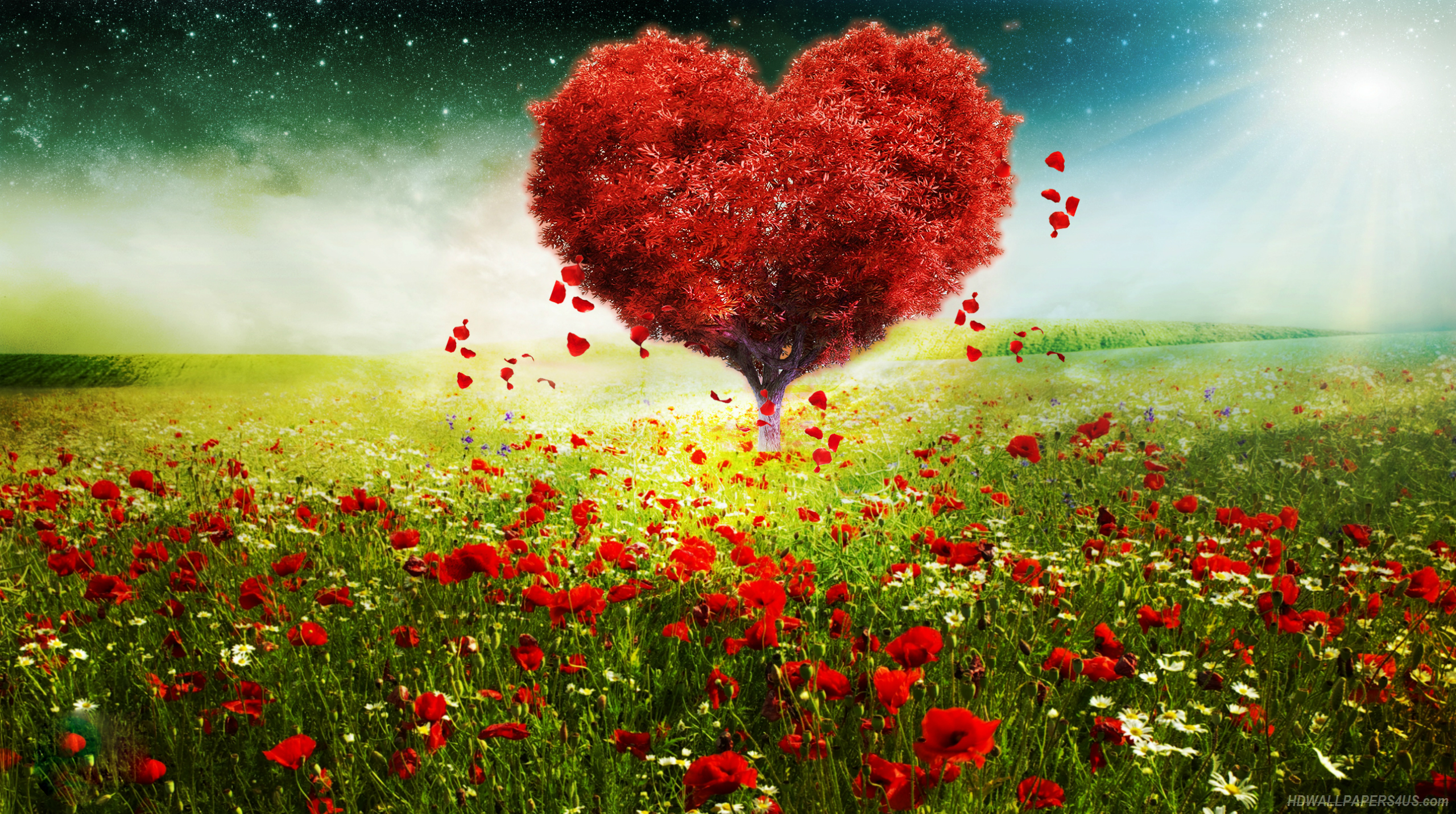 Hd Wallpapers Download - Poppy - HD Wallpaper 