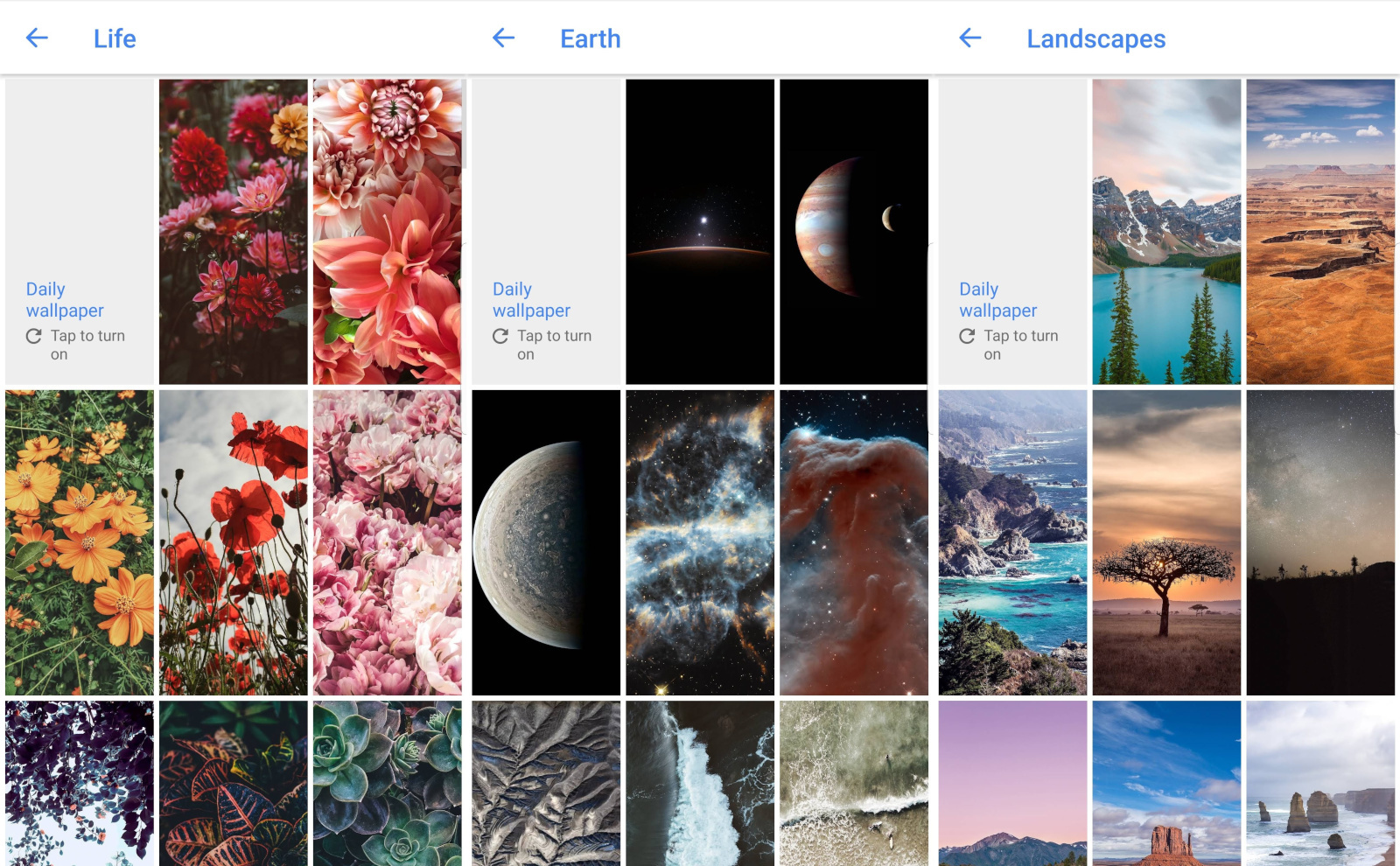 New Wall Art In The Google Wallpapers App - Google Wallpaper Life - HD Wallpaper 