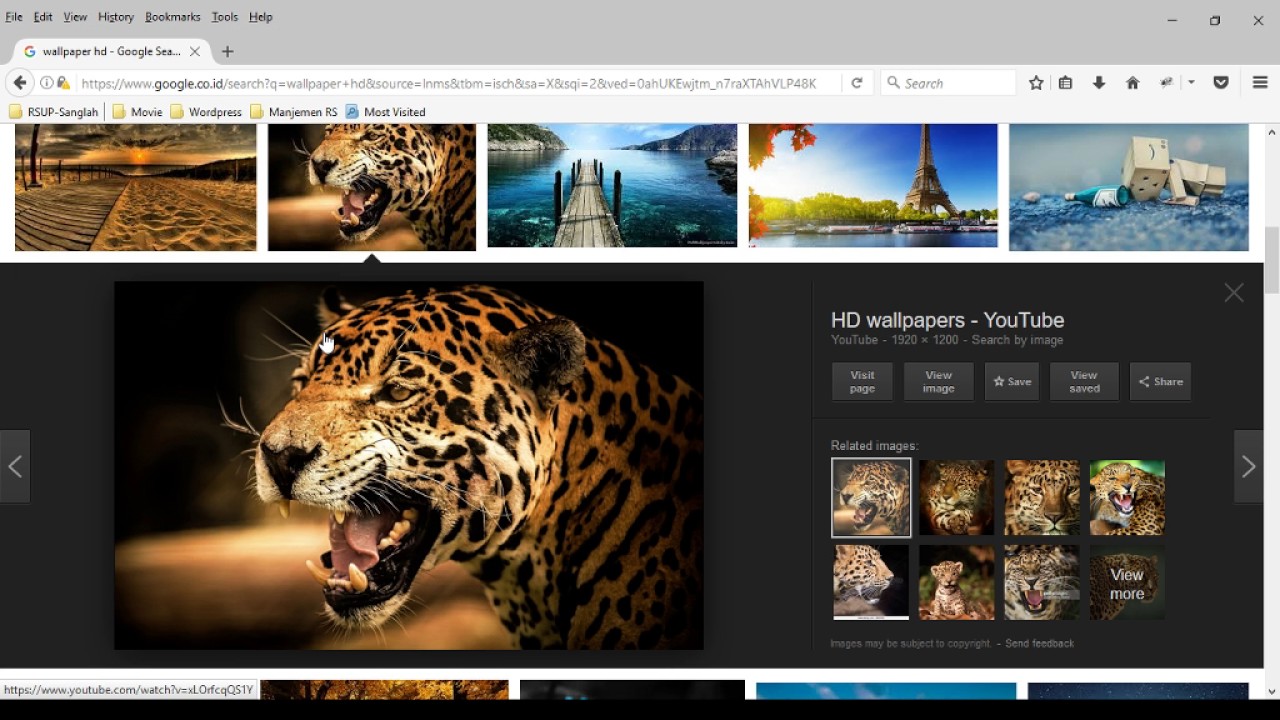 Download Wallpaper From Google - HD Wallpaper 