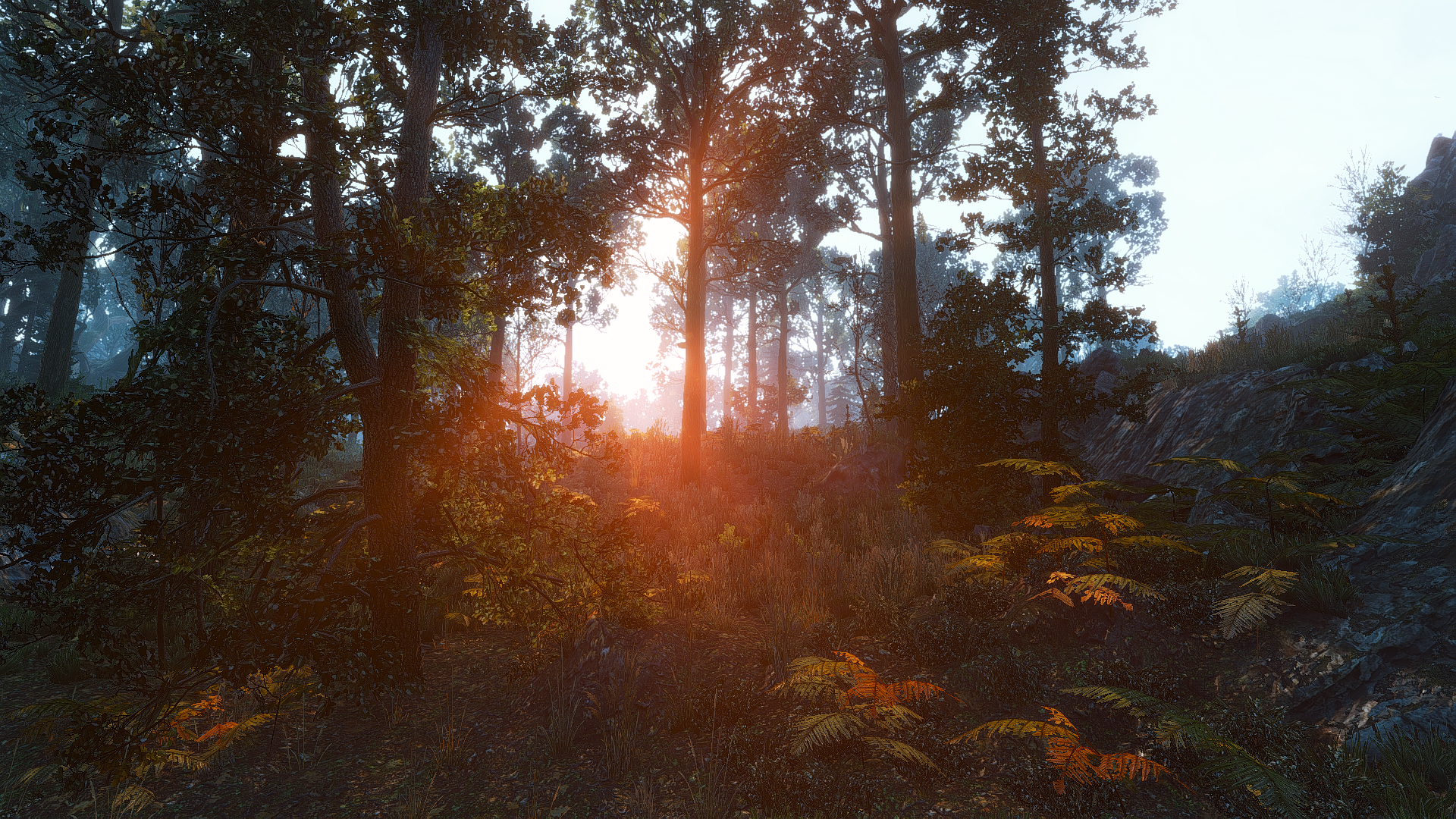 Free To Use - HD Wallpaper 