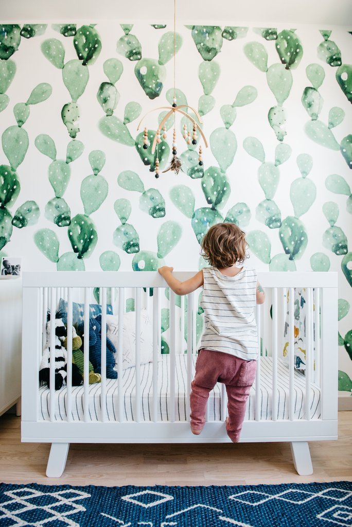 Watercolor Cactus Wallpaper Babies Room - HD Wallpaper 