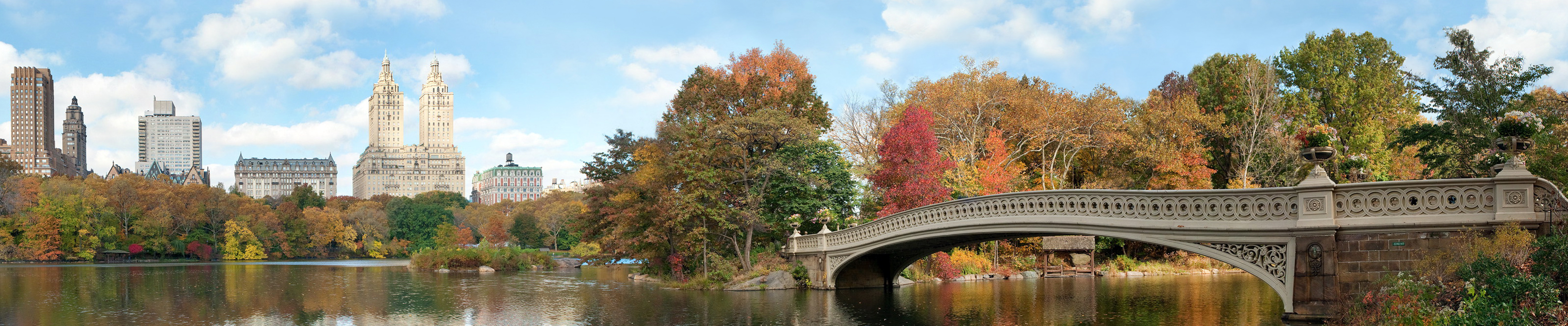 New York Central Park Panorama - HD Wallpaper 