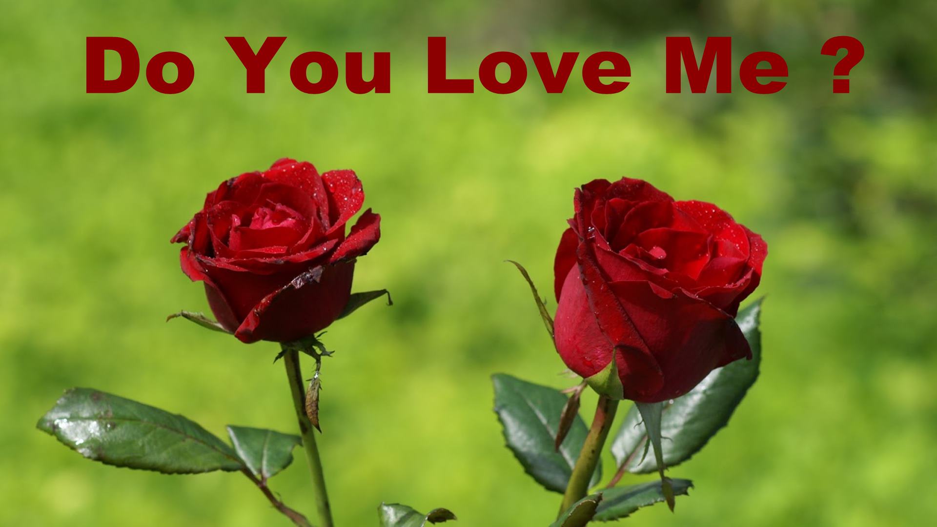 Love You Do You Love Me - HD Wallpaper 